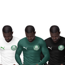 Kit 3 Camisas Térmicas Masculinas Tecido Ice Malha Fria com Proteção UV Fator 50+ Palmeiras