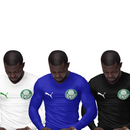 Kit 3 Camisas Térmicas Masculinas Tecido Ice Malha Fria com Proteção UV Fator 50+ Palmeiras