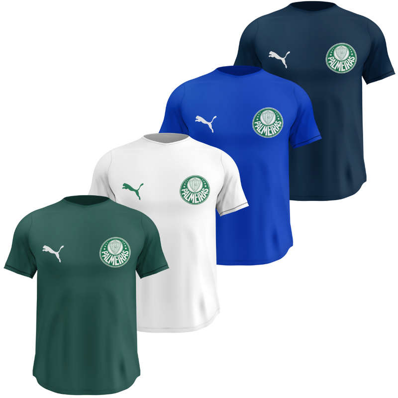 Kit 4 Camisas Dry Fit Masculinas Malha Premium Respirável Anti-Suor Palmeiras + Frete Grátis