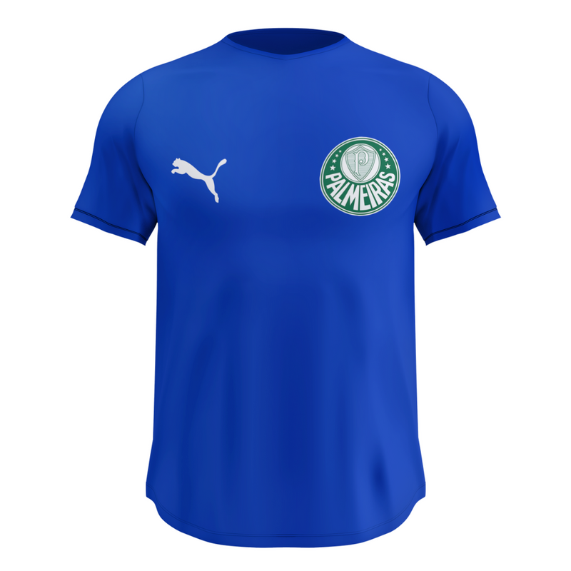Kit 4 Camisas Dry Fit Masculinas Malha Premium Respirável Anti-Suor Palmeiras + Frete Grátis