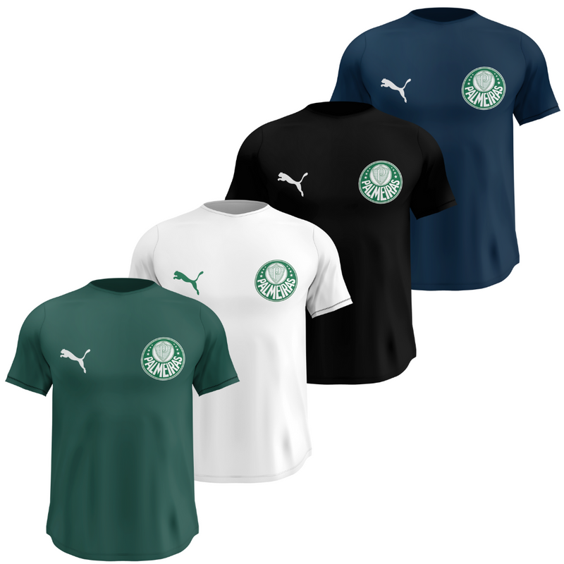 Kit 4 Camisas Dry Fit Masculinas Malha Premium Respirável Anti-Suor Palmeiras + Frete Grátis