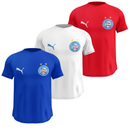 Kit 3 Camisas Masculinas TechFit Malha Fria Anti-Suor Proteção Solar Bahia