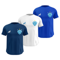 Kit 3 Camisas Masculinas TechFit Malha Fria Anti-Suor Proteção Solar Paysandu