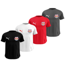 Kit 4 Camisas Masculinas TechFit Malha Fria Anti-Suor Proteção Solar Bragantino