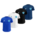 Kit 4 Camisas Masculinas TechFit Malha Fria Anti-Suor Proteção Solar Paysandu