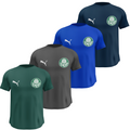 Kit 4 Camisas Dry Fit Masculinas Malha Premium Respirável Anti-Suor Palmeiras + Frete Grátis