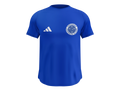 Camisa Masculina TechFit Malha Fria Anti-Suor Proteção Solar Cruzeiro