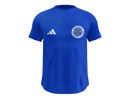 Camisa Masculina TechFit Malha Fria Anti-Suor Proteção Solar Cruzeiro