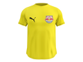 Camisa Masculina TechFit Malha Fria Anti-Suor Proteção Solar Bragantino