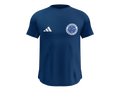 Camisa Masculina TechFit Malha Fria Anti-Suor Proteção Solar Cruzeiro
